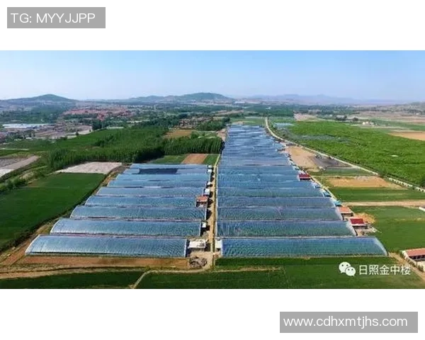 跳马镇喜雨村足球热潮兴起助力乡村振兴与青少年成长