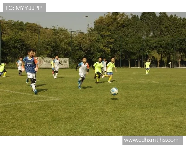 飞帆足球：助力青少年成长的足球梦想与未来之路